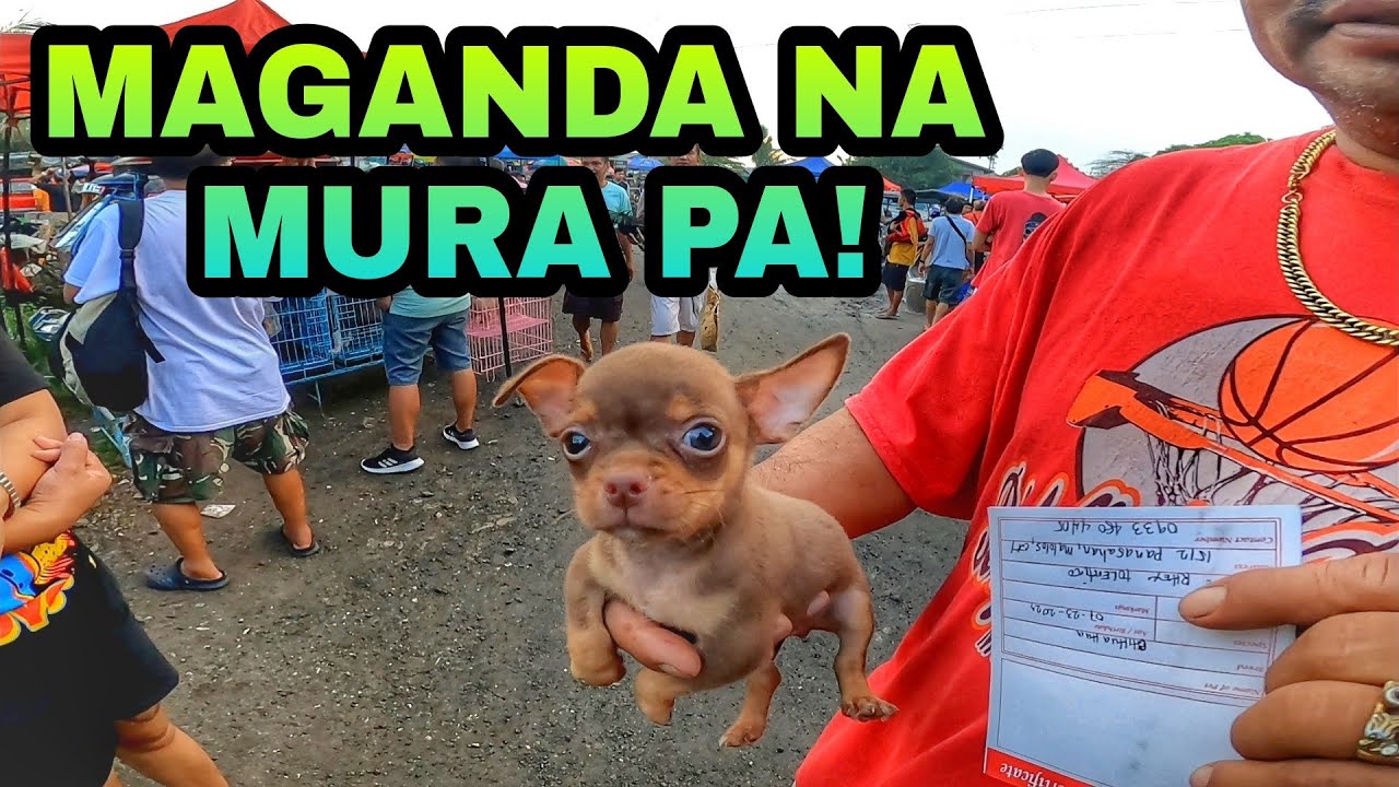 EKSENA SA BOCAUE | SEPTEMBER 22 FRIDAY
