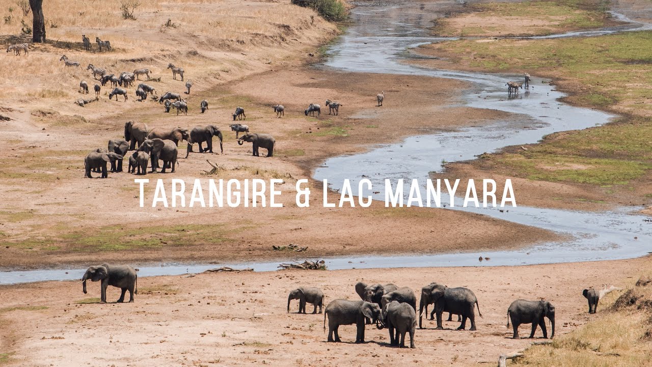 TARANGIRE & LAC MANYARA | Safari en Tanzanie