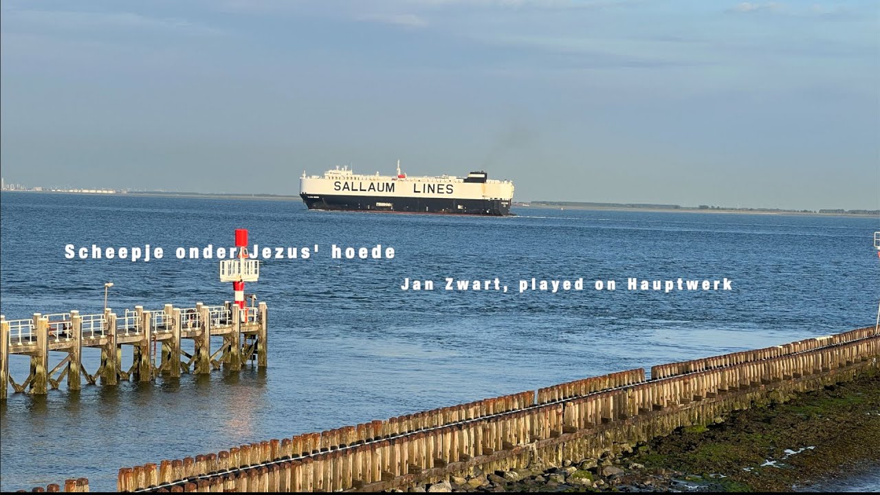 Scheepje onder Jezus' hoede, Jan Zwart