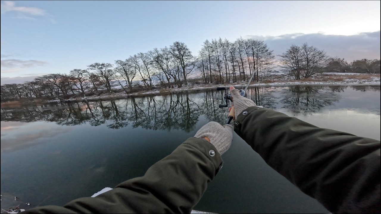 My first baitcaster - Slow winter fishing | Malmö Canals
