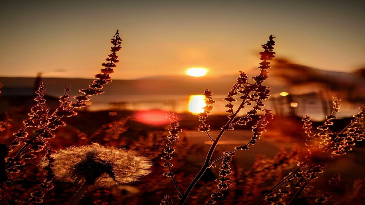 Evening Prelude (Duet) - Plamen Petrov
