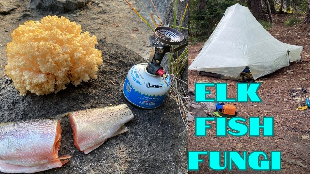Backpacking and Fishing in the Elk Woods, Catch and Cook Trout and Wild Mushrooms!