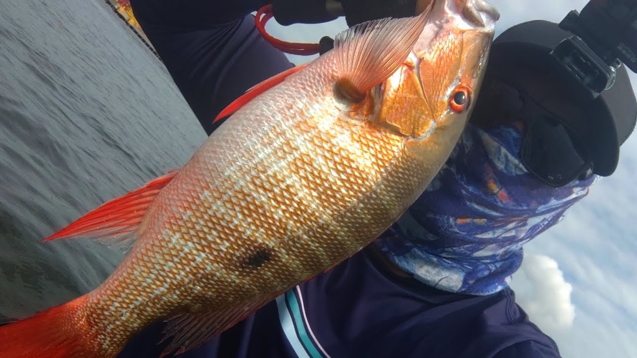 PESCARIA DAS 6H ÀS 10H | ROBALO | CORVINA| CARAPITANGA  | CAIAQUE TITAN ATLAS 