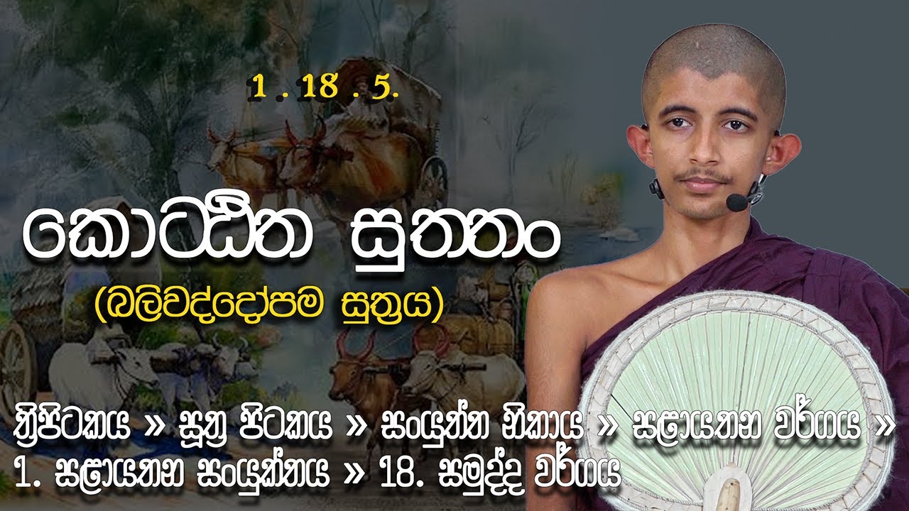 පුජණිය සිරි අරිය විමුත්ති හිමි |  ජනවාරි මස බුද්ධ භාවනා (2025-01-05 pm)