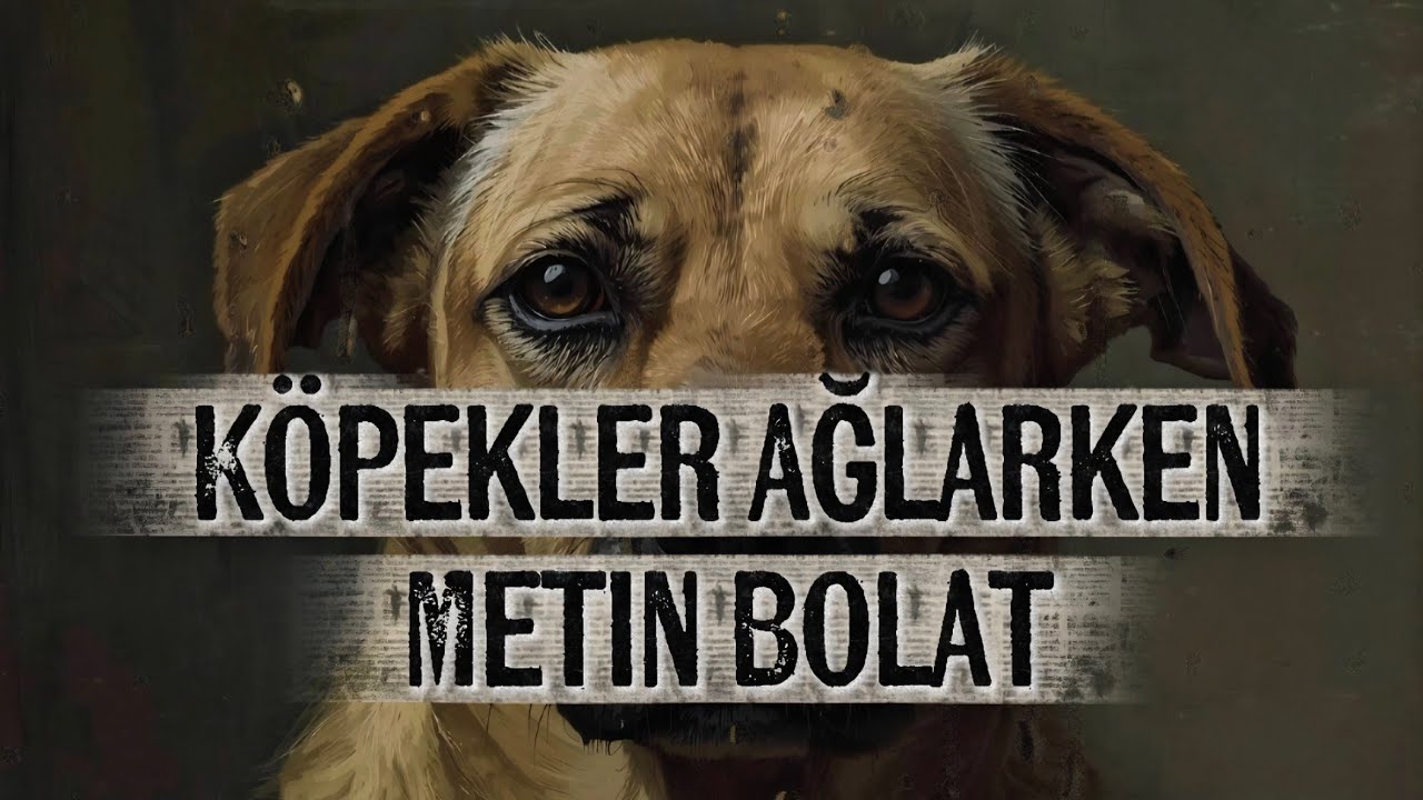Köpekler Ağlarken _  Metin Bolat #dogs #dog #music #animals #love #pets #pets#friends #youtubevideo 