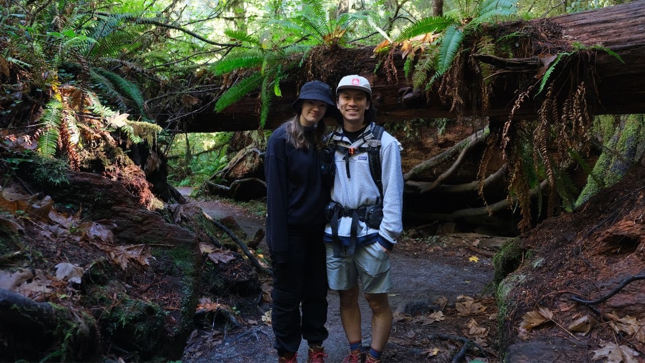 Video Journal #4 | Road Trip to Redwood National Park