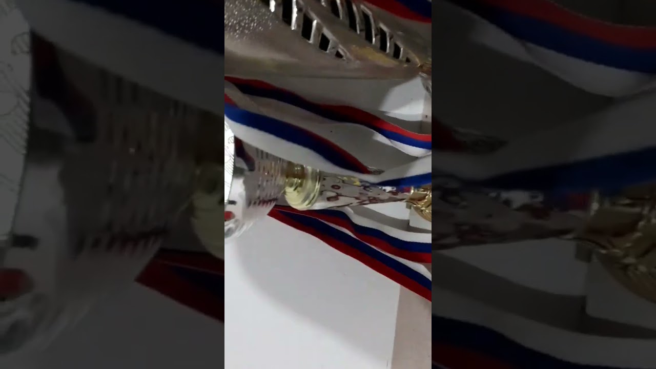 Toto su moje trofeje.