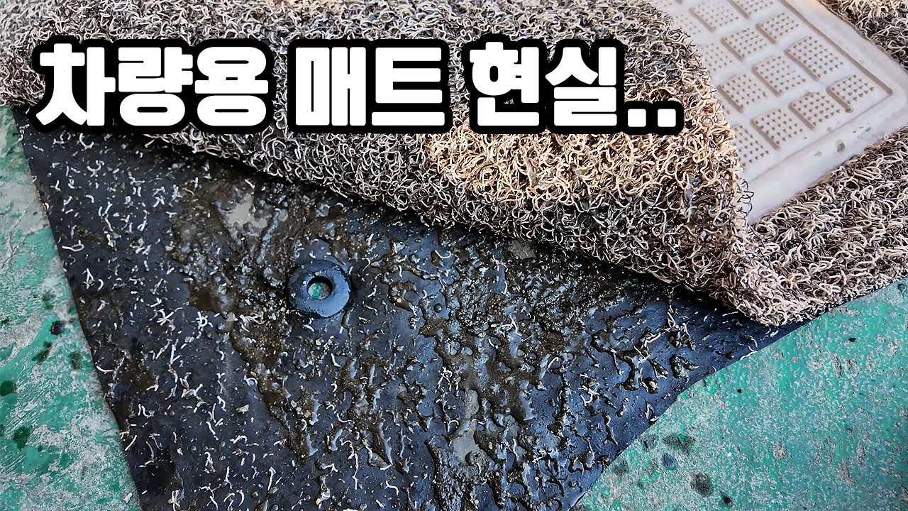 자동차 매트 청소가 되긴 할까?