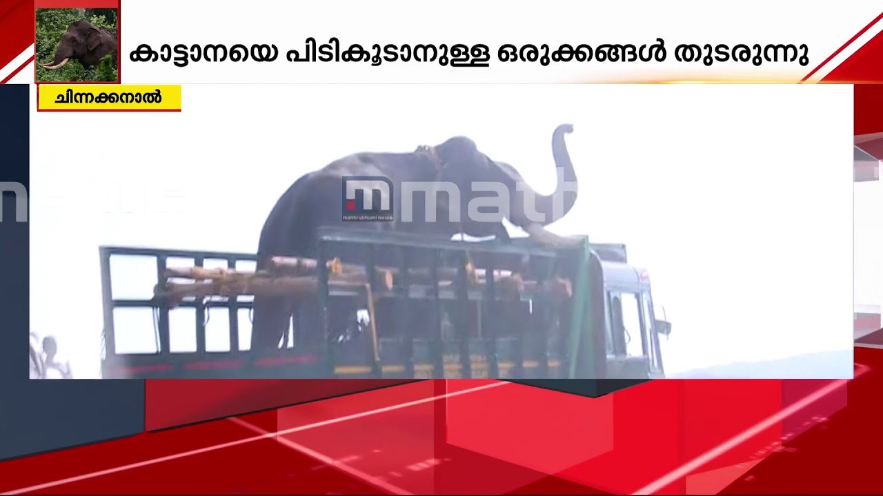 അരിക്കൊമ്പനെ പൂട്ടാൻ മലകയറി സുരേന്ദ്രനും കുഞ്ചുവും | Arikkomban | Konni Surendran | Kumki Elephants