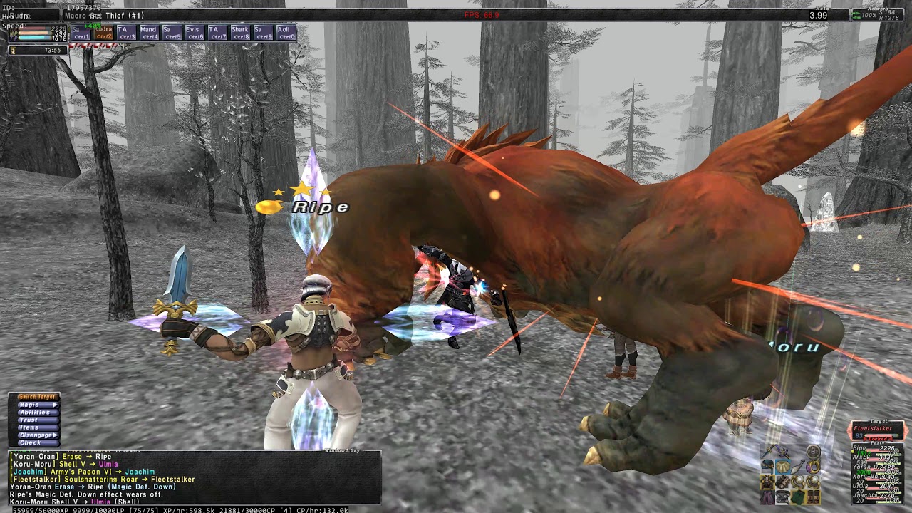 FFXI - THF with Trust party Fleetstalker Escha Zi'Tah T3