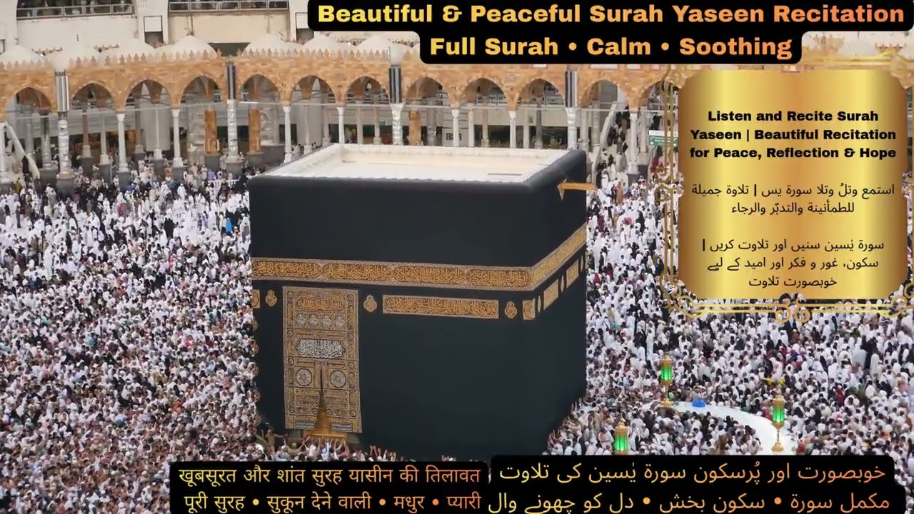 Listen and Recite Surah Yaseen | Beautiful Recitation for Peace, Reflection & Hope #yaseen #islamic