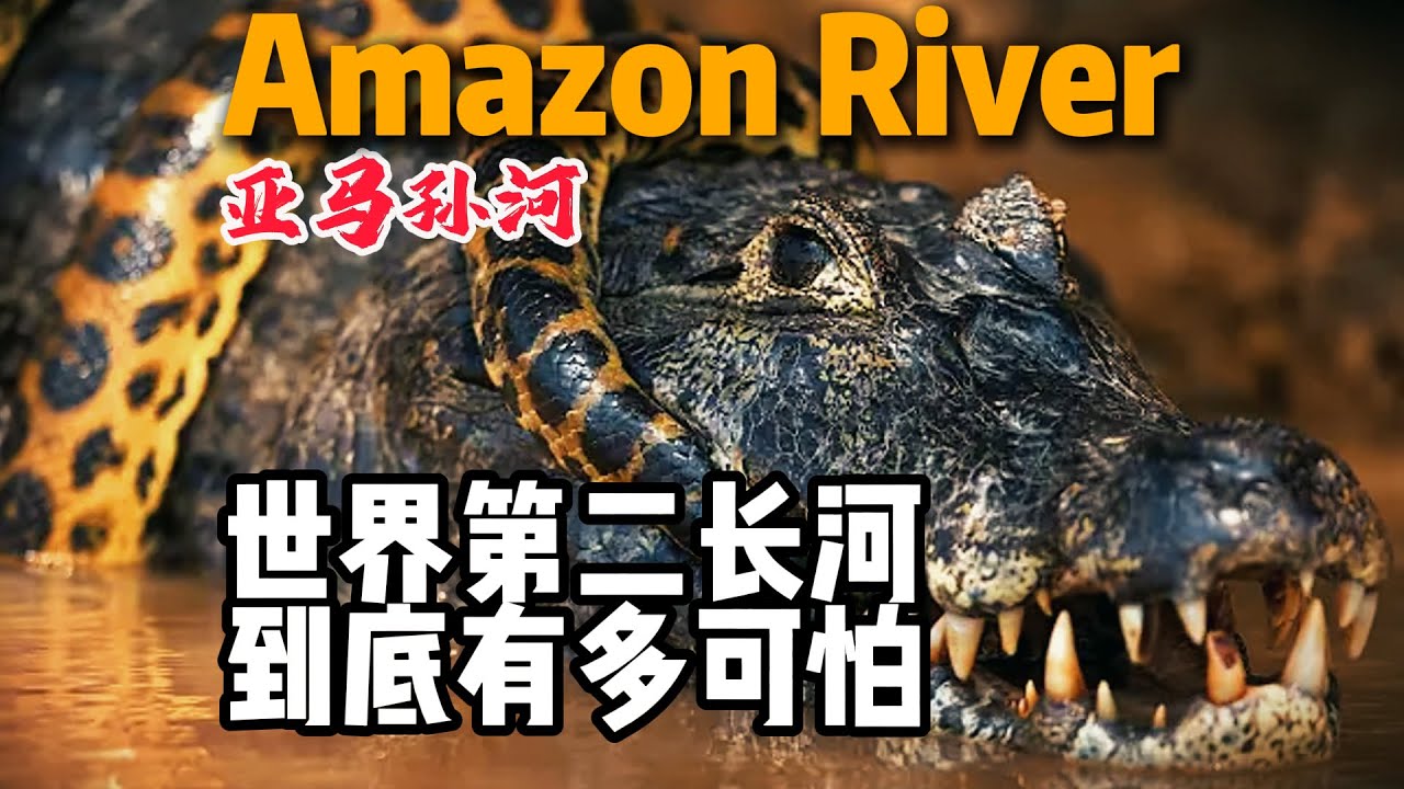 亚马孙河：世界第二长河到底有多可怕？为啥没人敢轻易下水游泳？