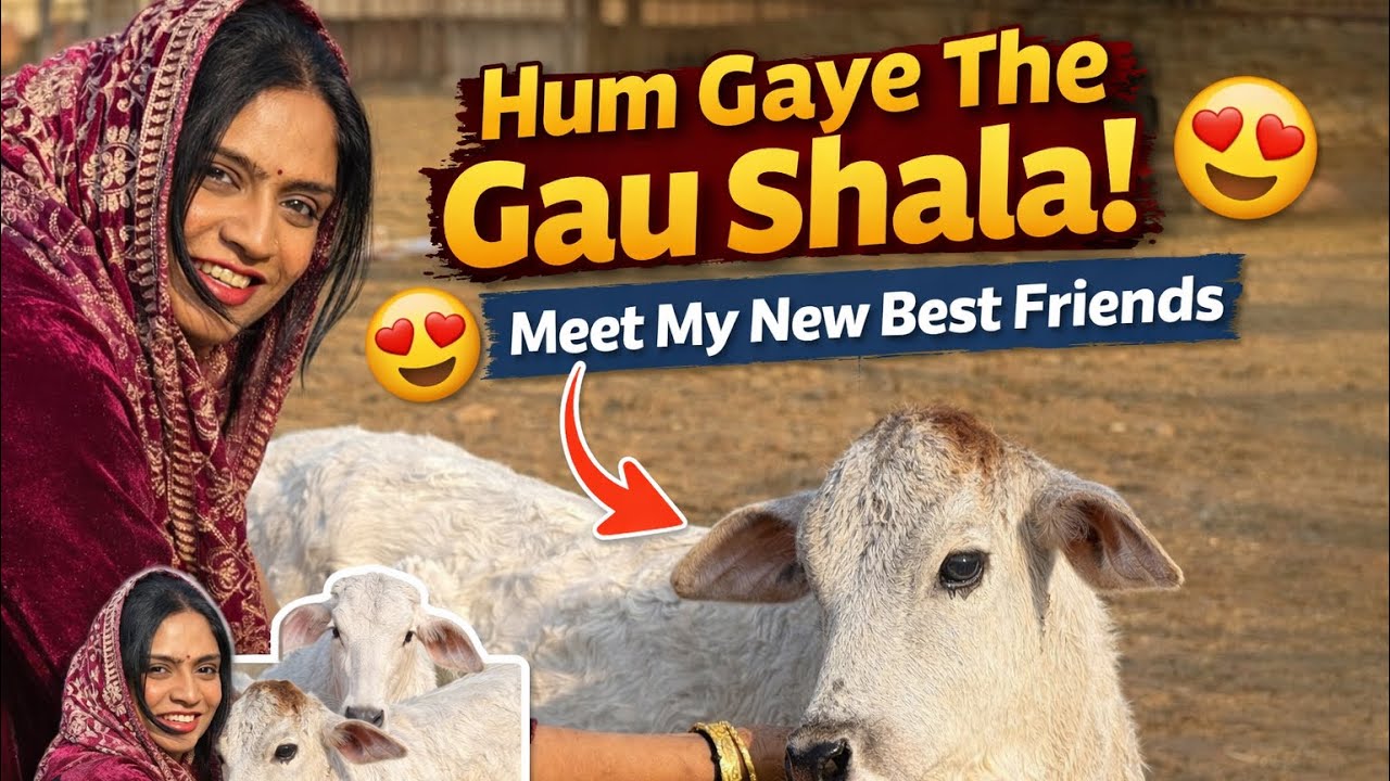 Hum Gaye The Gau Shala! 😍 Meet My New Best Friends 🥳