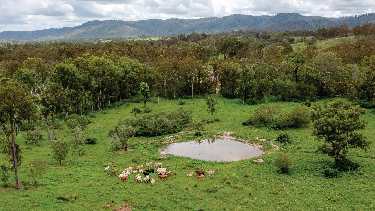 Mt Perry Region Grazing, Qld