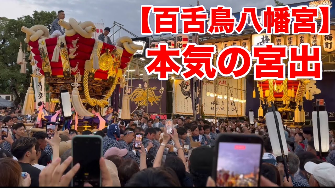 【西之町ふとん太鼓】百舌鳥八幡宮月見祭2025堺市 |月見祭で魅せる魂の瞬間