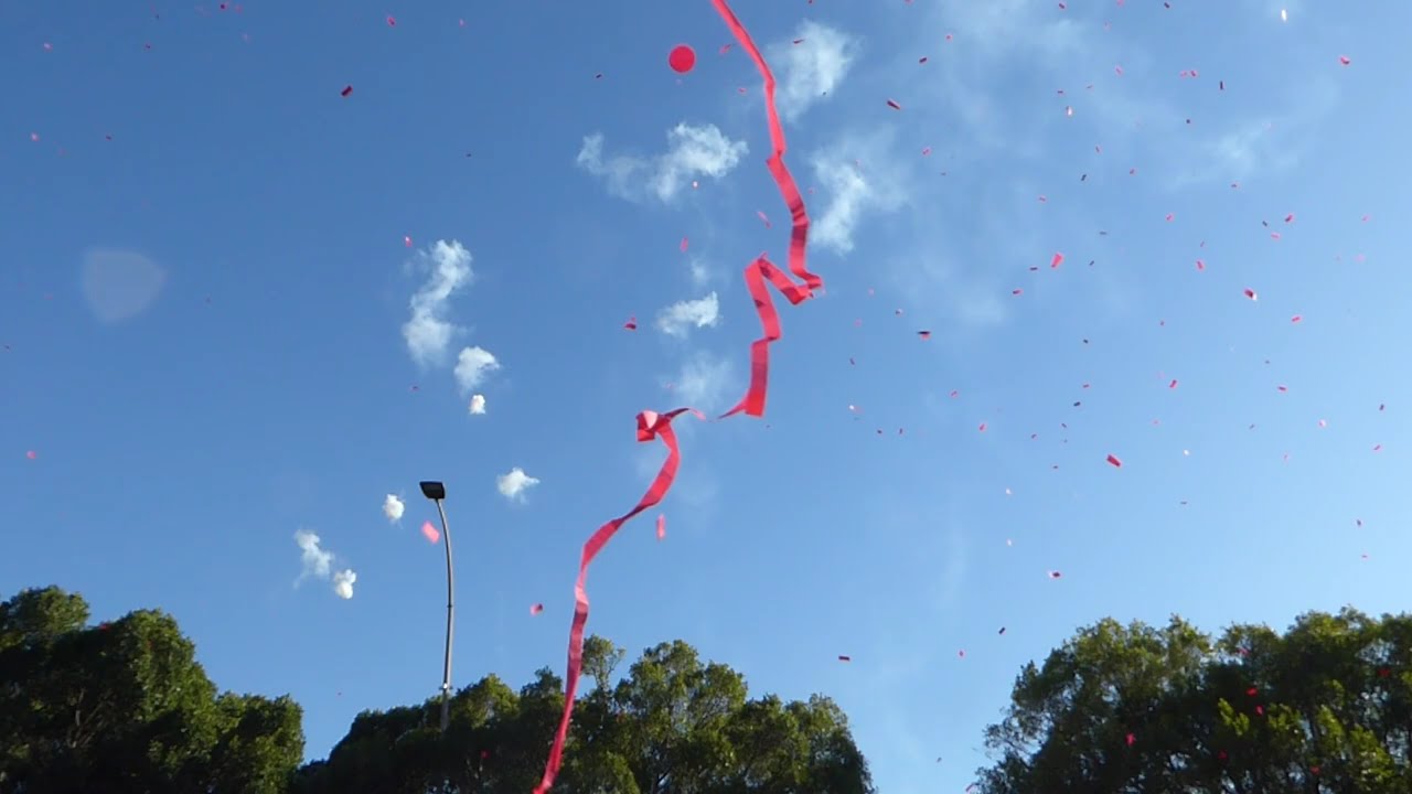 Homenaje al Escudo de Murcia 2025