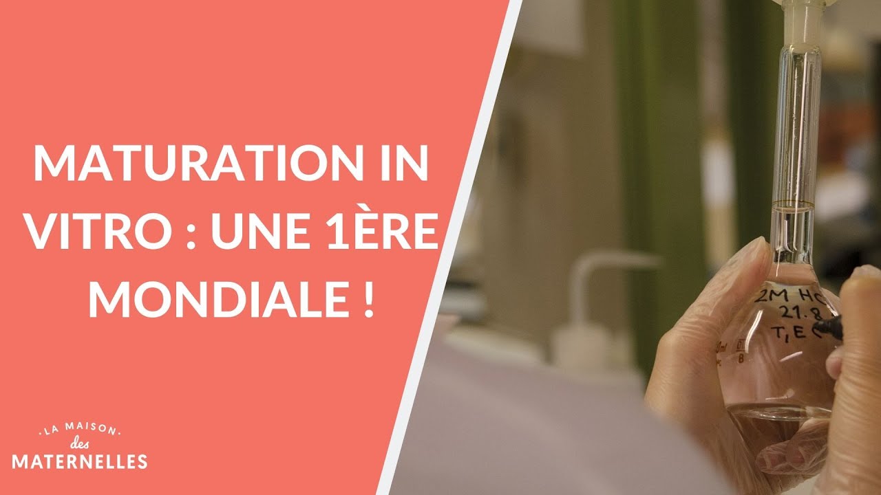 Maturation In Vitro : une 1ère mondiale - La Maison des maternelles #LMDM