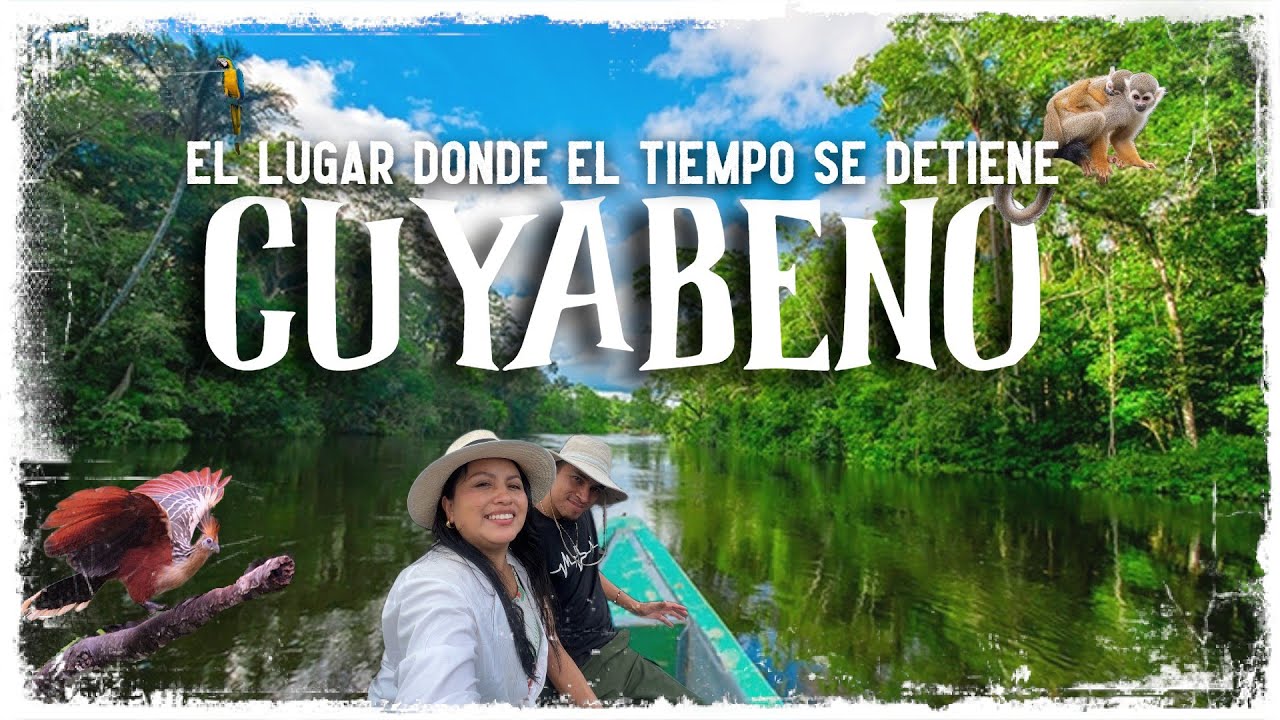 Vimos más FAUNA🐒🦜 en Cuyabeno en 1 día que en 20 años viajando Ecuador