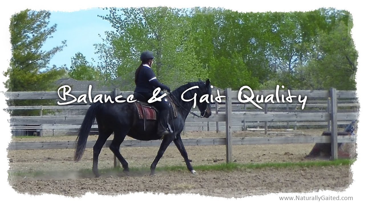 Balance and Gait Quality in the Naturally Gaited Horse #GaitedHorse