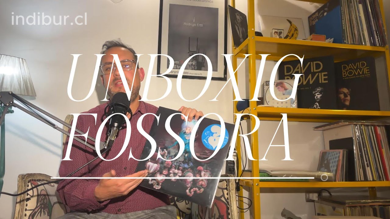 unboxing Bjork y cuidado de vinilos