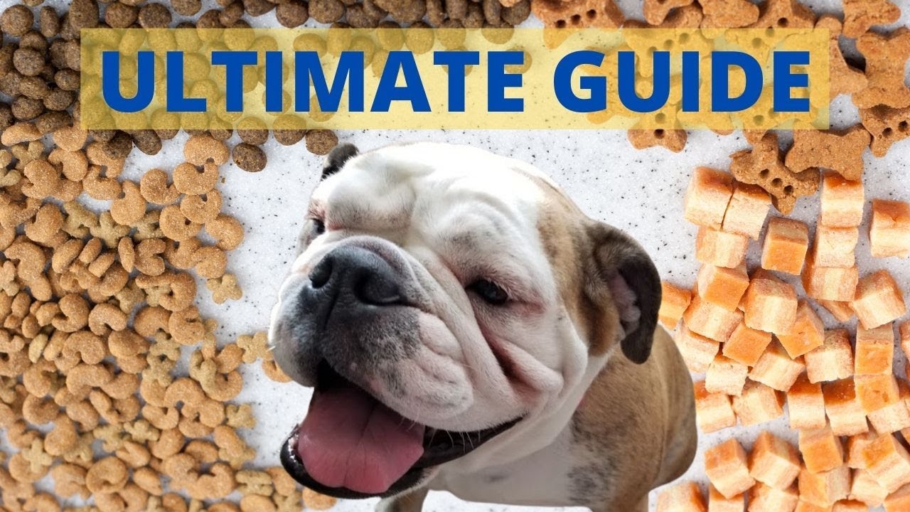Guide to What Bulldogs Can and Cannot Eat
