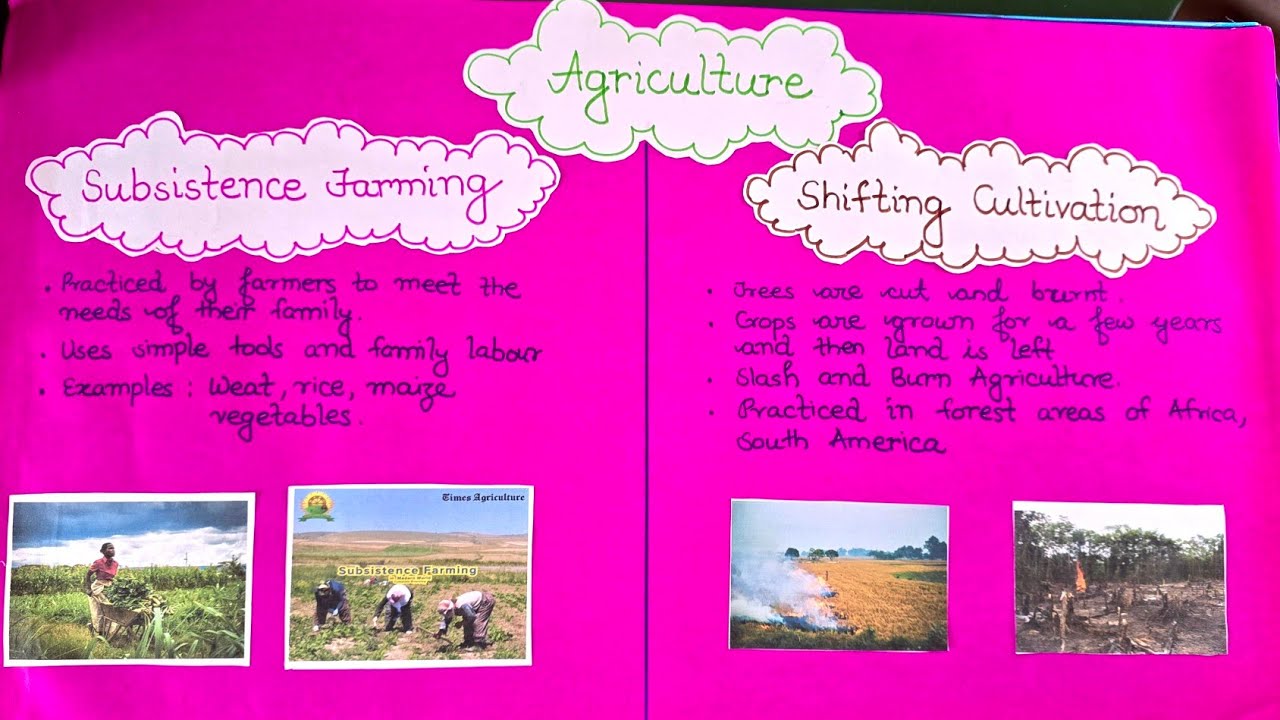Agriculture teaching aids| How to make teaching aids on agriculture #agriculture