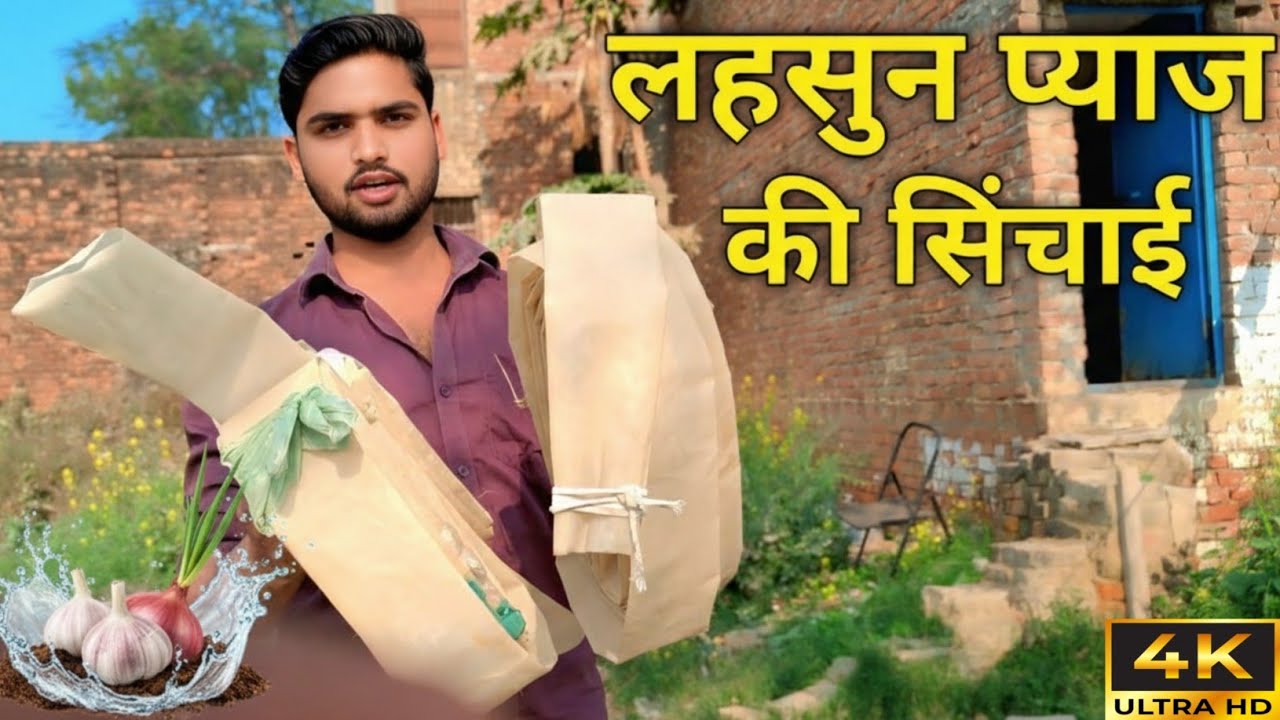 लहसुन और प्याज की सिंचाई | Lahasun aur Payaj ki Sinchai 😍 || मजेदारब्लॉक वीडियो 😄 Rishu UP Vlogs 