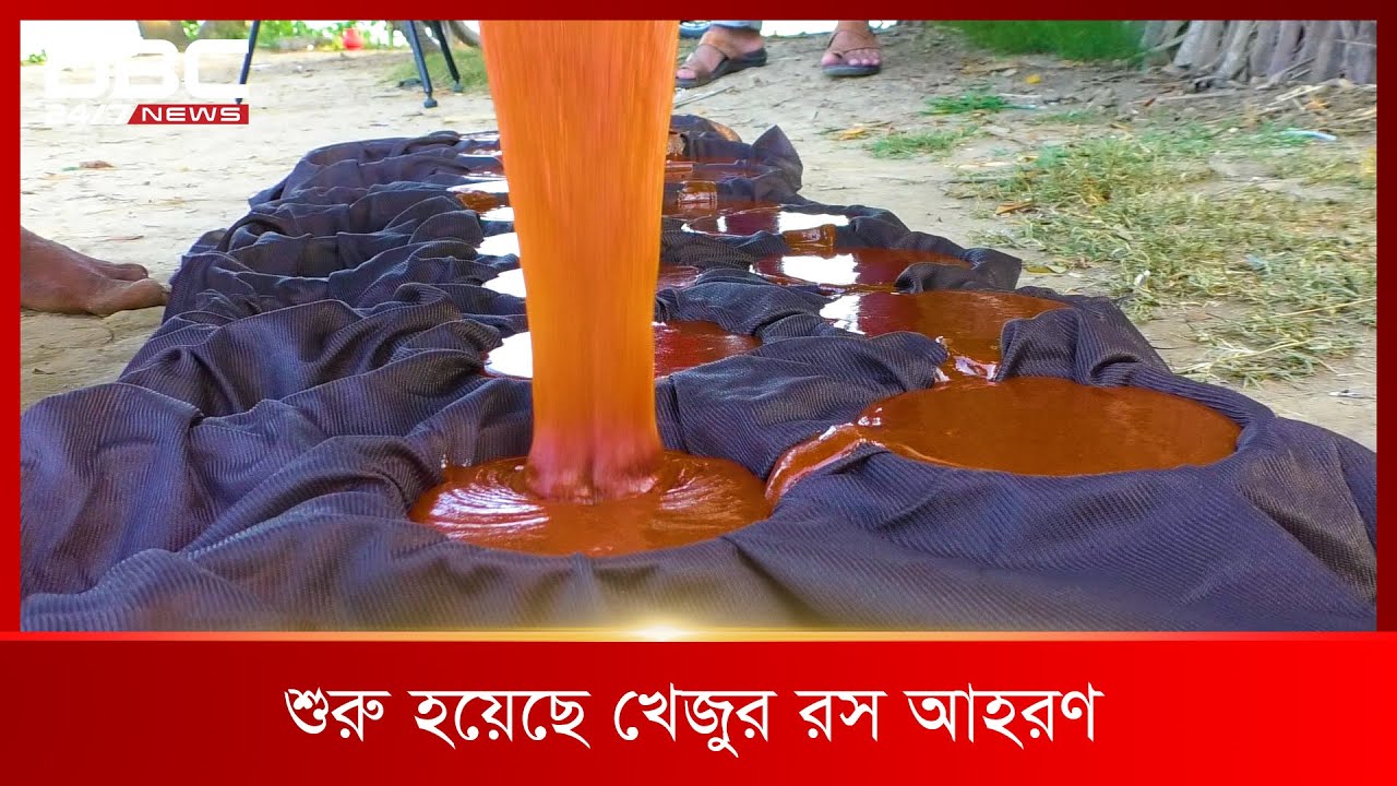 ভেজালমুক্ত খেজুর গুড় তৈরি হচ্ছে কুষ্টিয়ায় | DBC News Special
