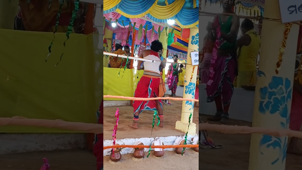 shana chera gaa Kirtana pila dala #dance short video