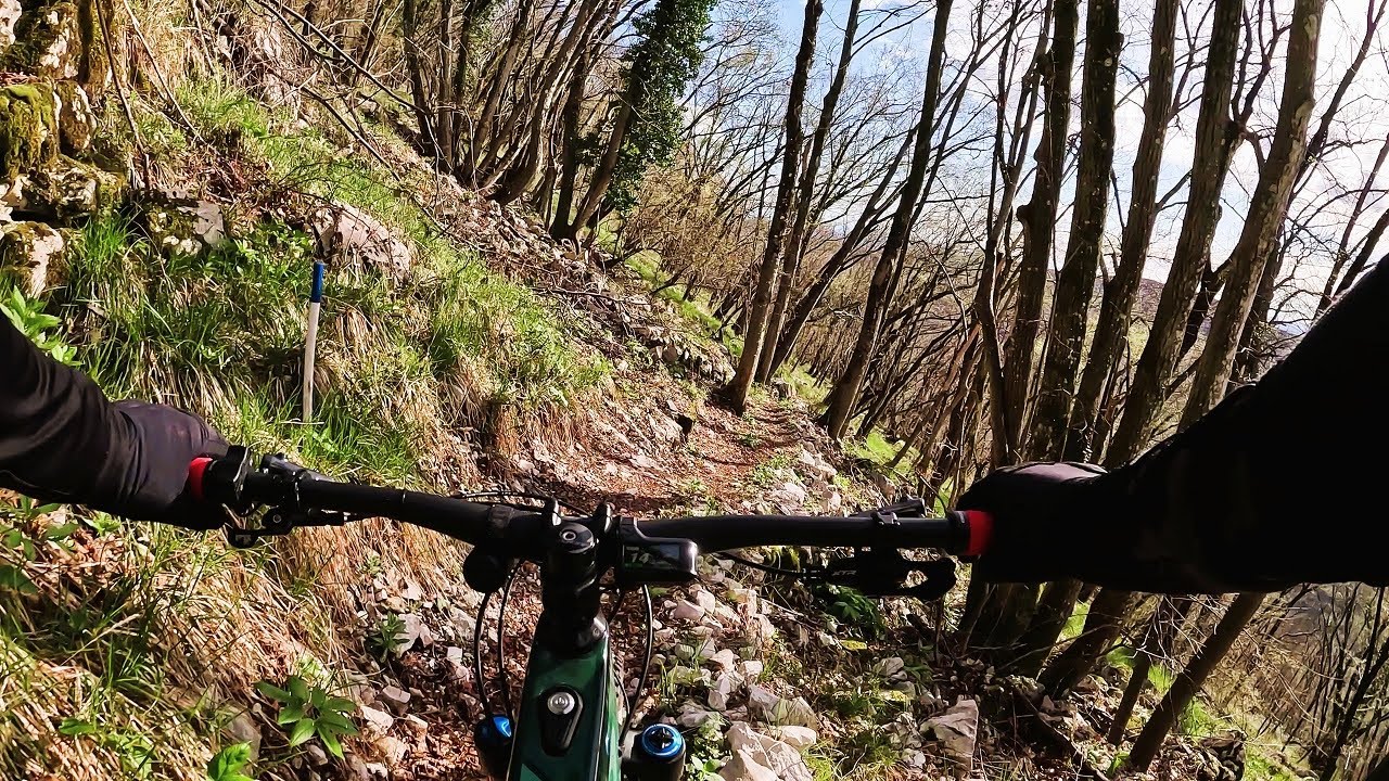 MTB Princeska  4K