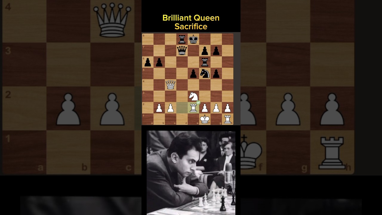 Brilliant Chess Moves (150)