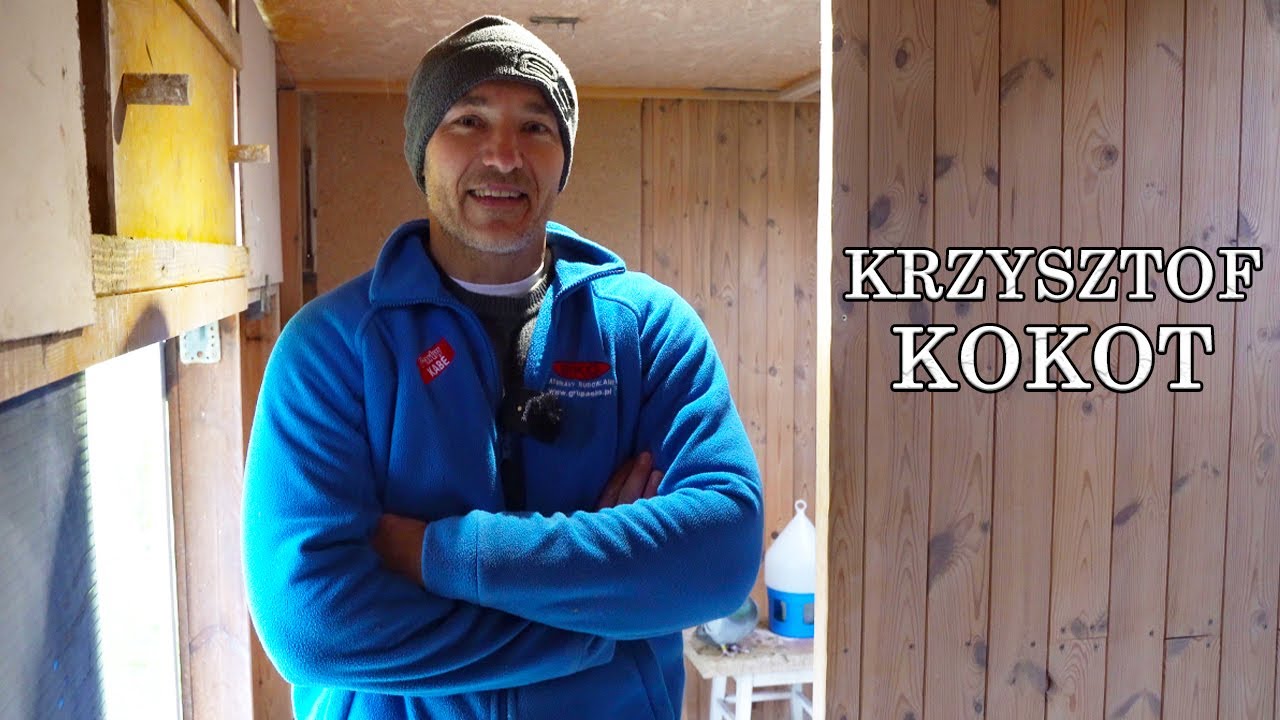 W gołębniku Krzysztofa Kokota – gołębie, karma i suplementacja!