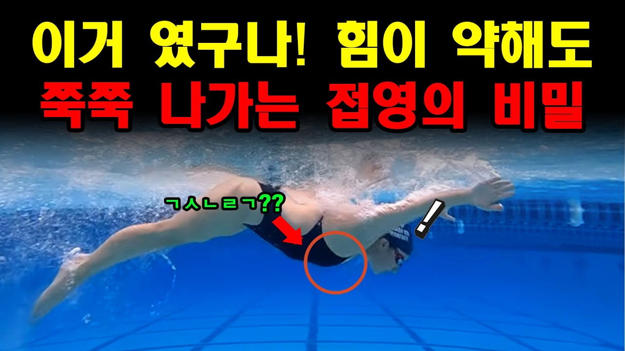 이거 였구나! 접영 실력느는 3가지 비밀 접영 특강