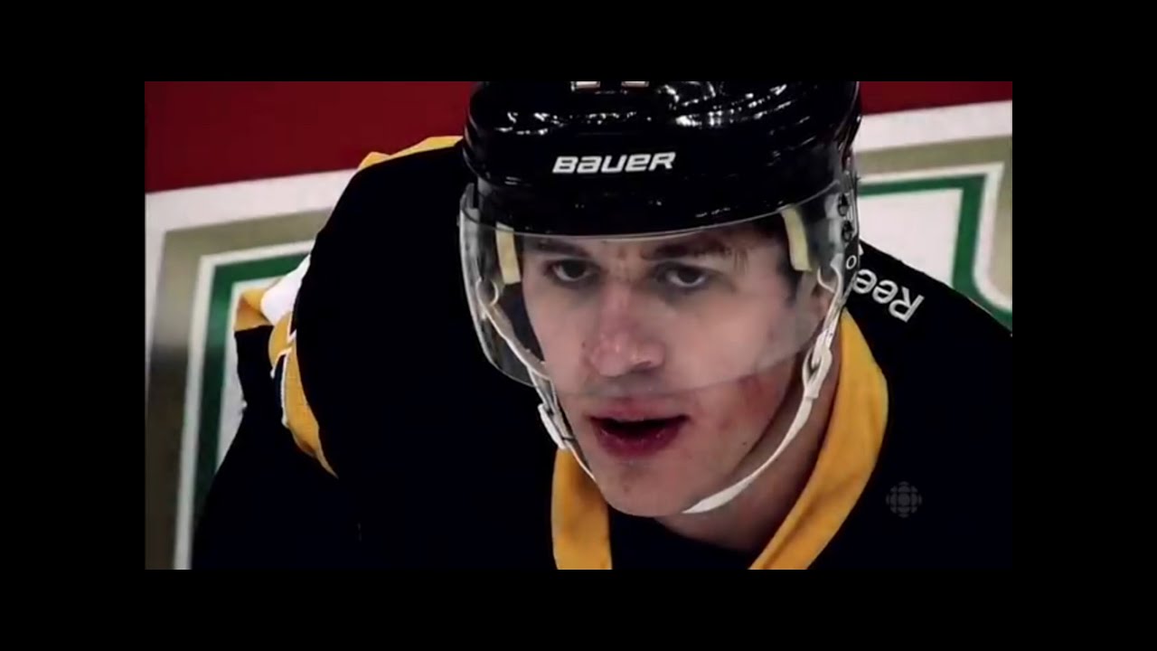 Highlights of the 2014-15 NHL Season Montage (HD)