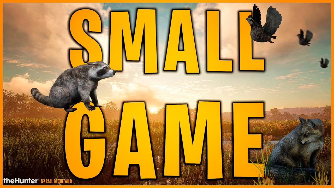 CA&Ccedil;ADA SMALL GAMES, MUITOS TIROS E MUITO DINHEIRO THE HUNTER CALL OF THE WILD GAMEPLAY