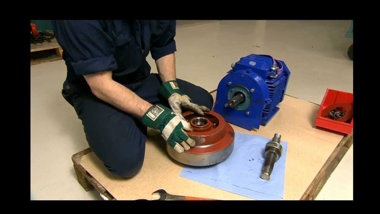Separate Centrifugal Clutch Overhaul