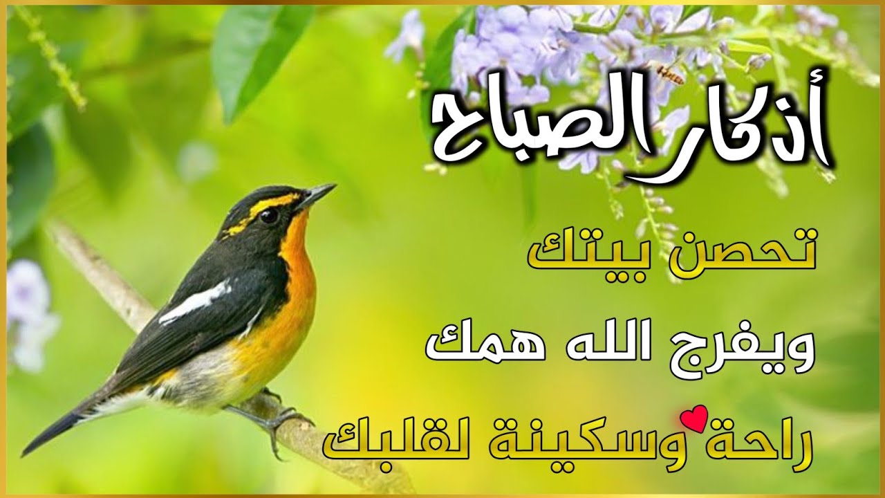 أذكار الصباح - راحة نفسية لا توصف بصوت القارئ علاء عقل | Morning Athkar - Dzkir Pagi by Alaa Aql