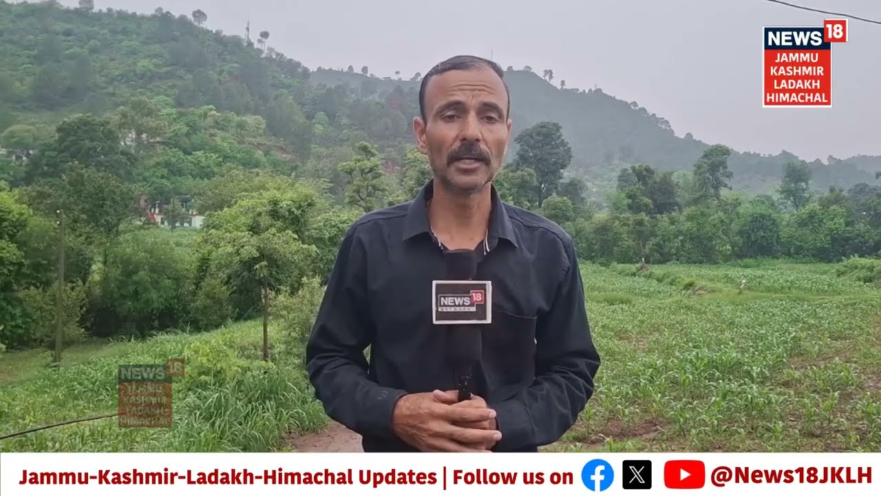 TOP HEADLINES FROM RAJOURI | रजौरी से आज की बड़ी खबर | Weather Update | N18V