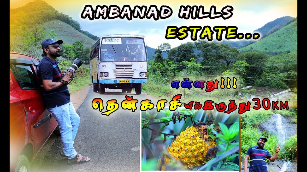 #Ambanad ஹில்ஸ் #அம்பநாடு #டீ எஸ்டேட்#Ambanad Tea Estate\Aariyankavu\Tenmala\\Tenkasi Rood\Kollam
