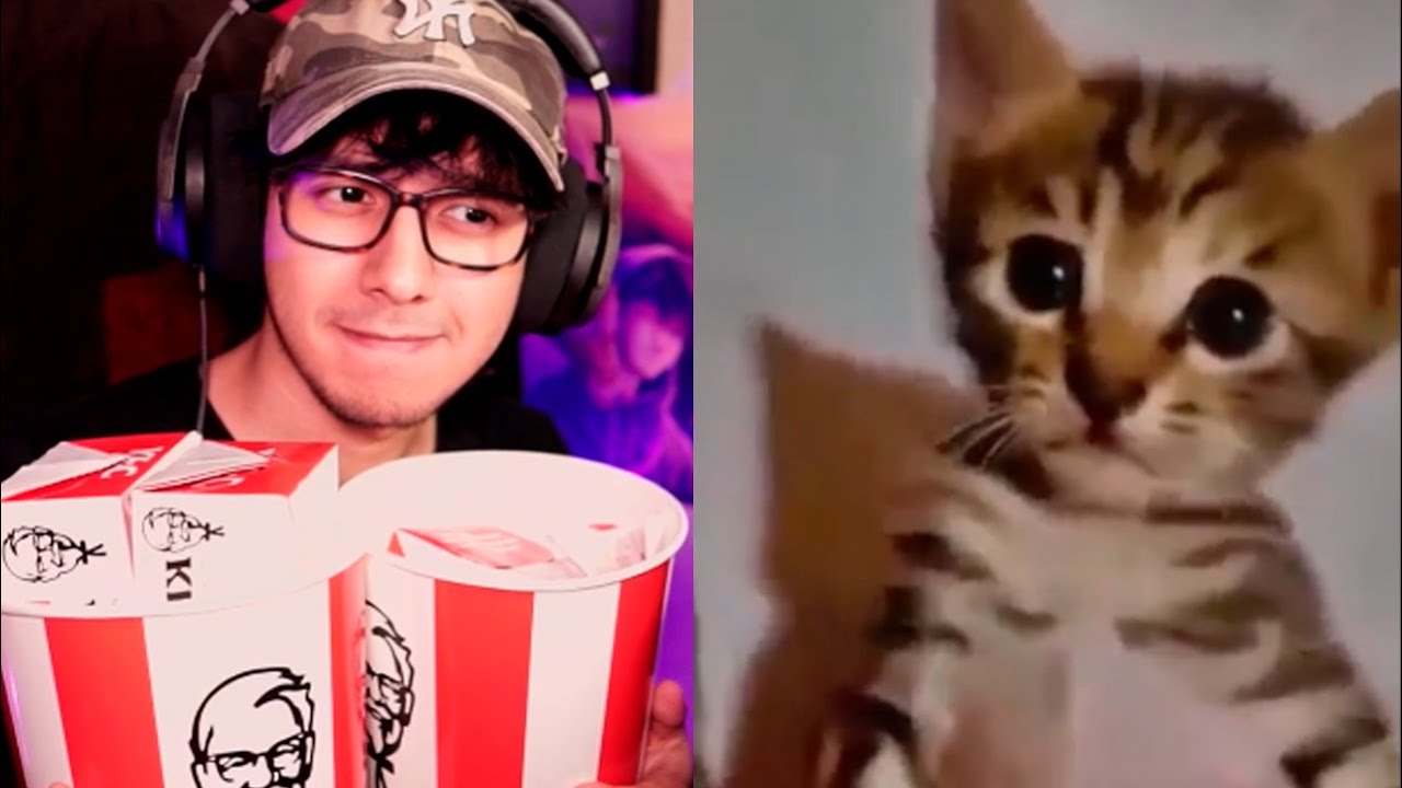 Si me da TERNURA, compro KFC 🍗