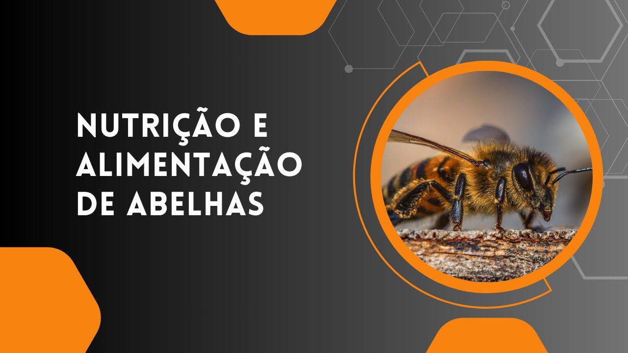 NUTRIÇÃO E ALIMENTAÇÃO DE ABELHAS - SÉRIE DE LIVES INTEGRAPIS - 2
