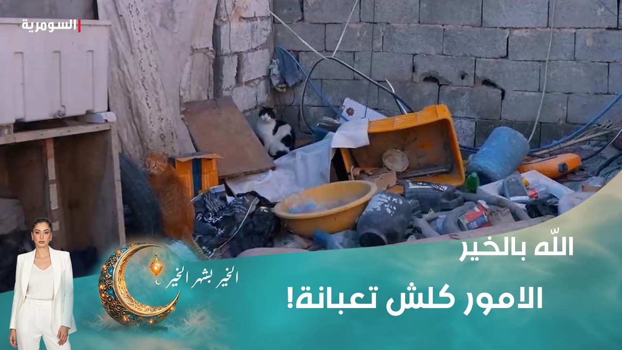 الامور كلش تعبانة!