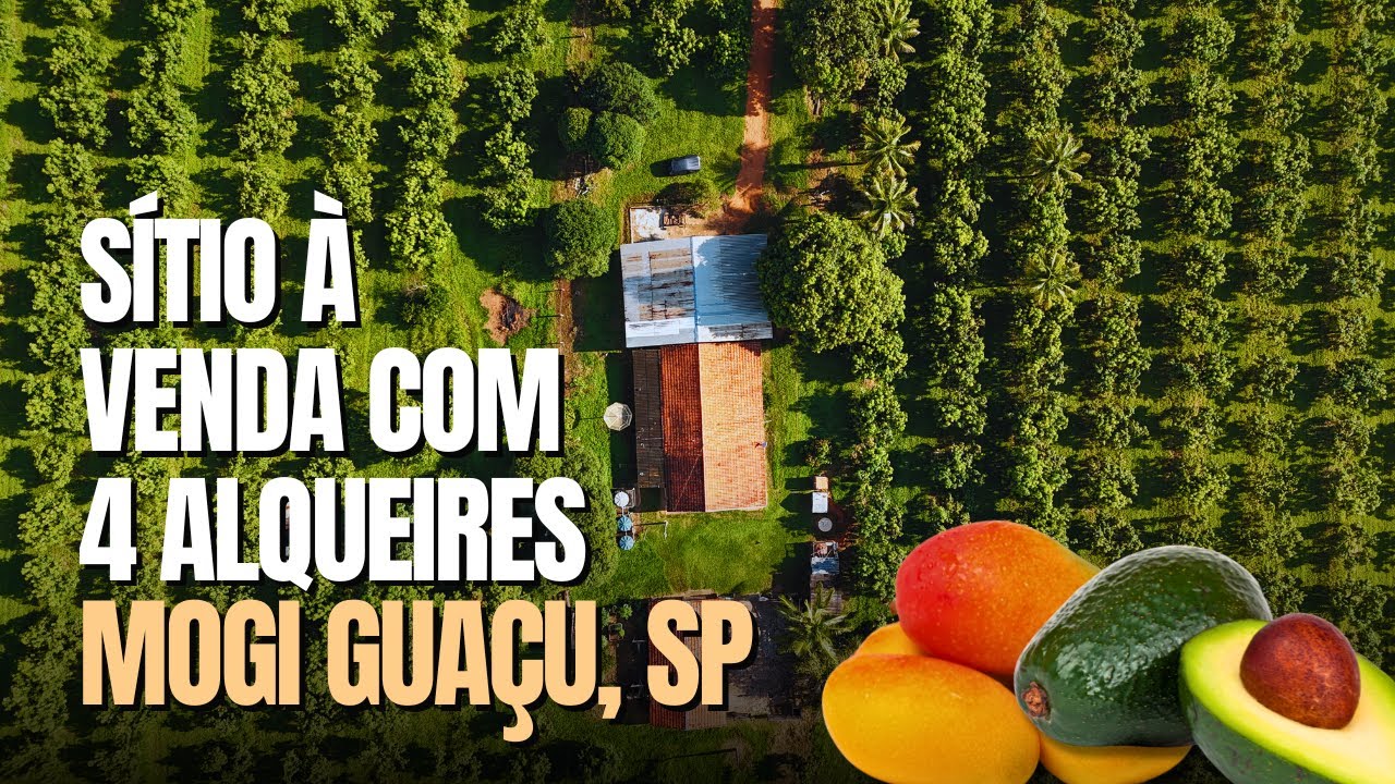 Quer um Negócio Rentável no Campo? 🌱💰 Sítio Produzindo em Mogi Guaçu!