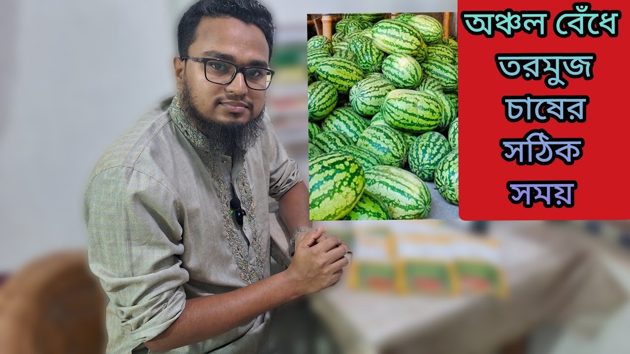 অঞ্চল বেঁধে তরমুজ চাষের সঠিক সময়। 