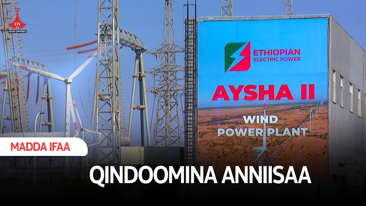 QINDOOMINA ANNIISAA  etv |Ebc |Etv Afaan Oromoo|