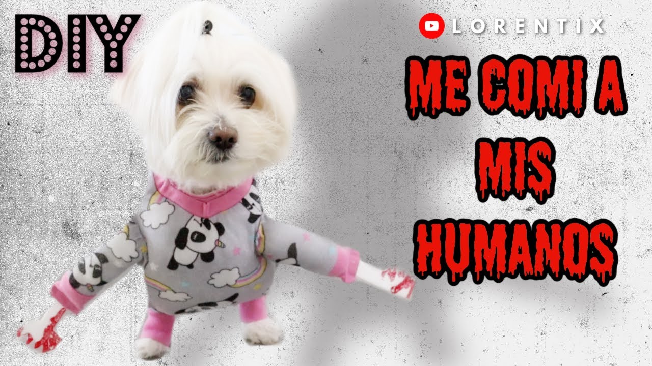 DIY DISFRAZ de Halloween para Perritos, SIN GASTAR y FACIL I LORENTIX