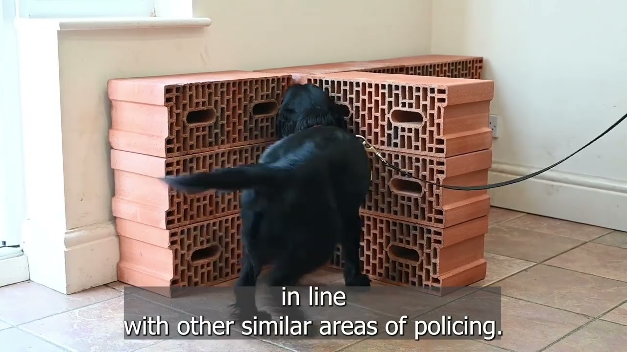 AC Pippa Mills discusses new police dog guidance