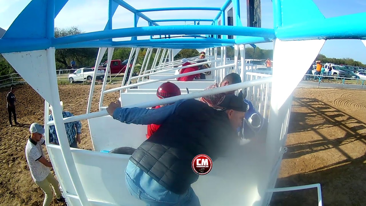 LA ARAÑA(CUADRA DR. GONZALEZ)  VS EL TILAPIA(CUADRA TEXANO II)   300 YDS