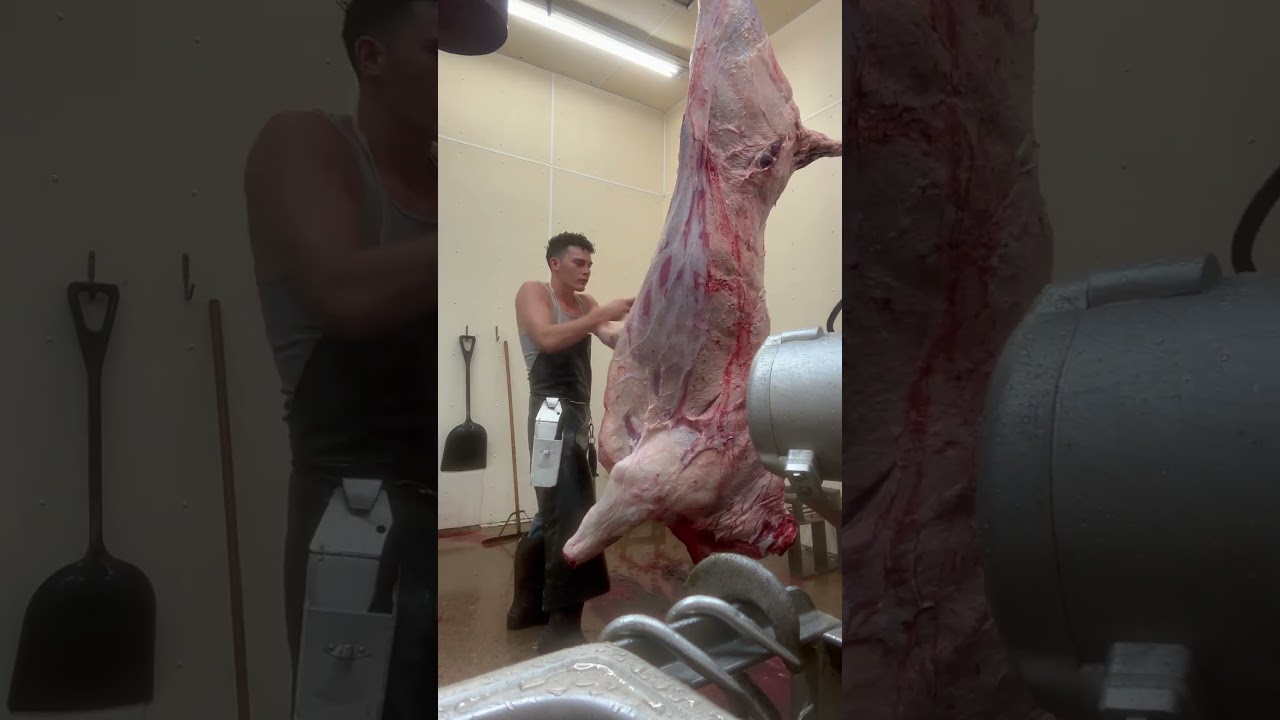 Quick and easy🙌 SUBSCRIBE🤝#butchers #skills #easymoney #viral #meatprocessing #cattle