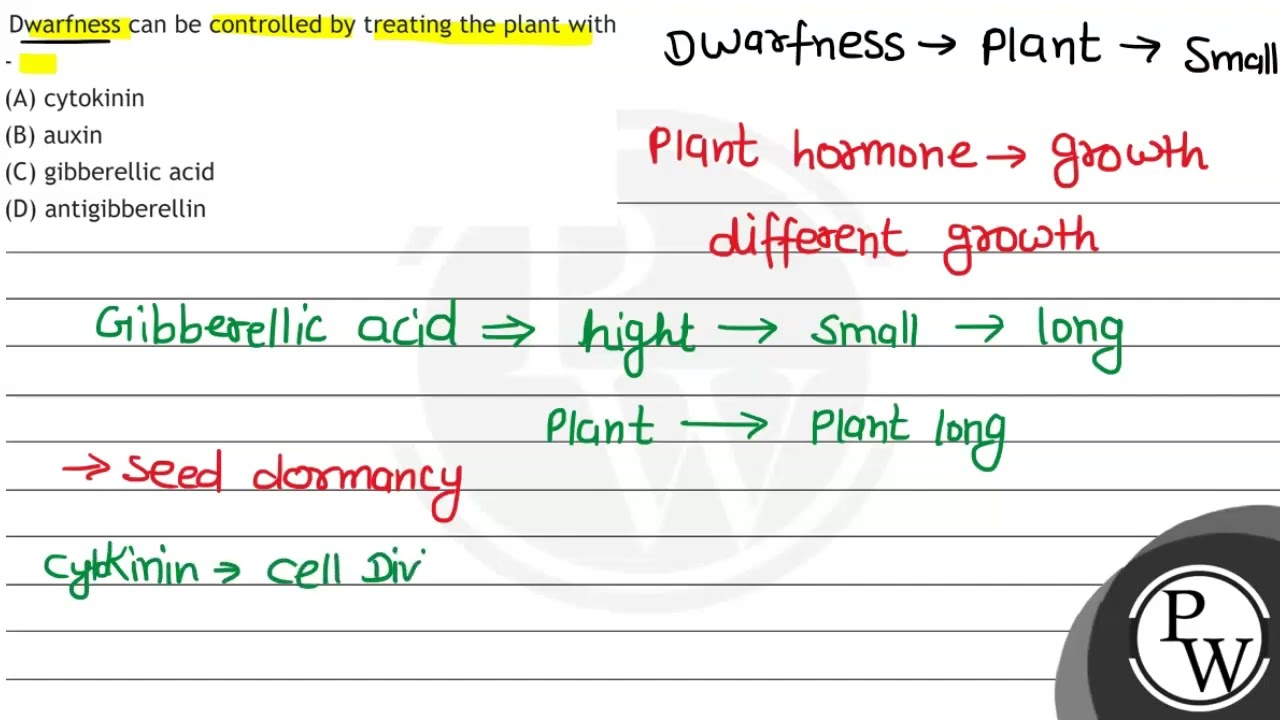 Dwarfness can be controlled by treating the plant with - (A) cytokinin (B) auxin (C) gibberellic...